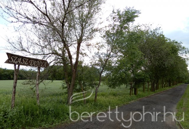 Elszármazottak találkozója 2019 -  40